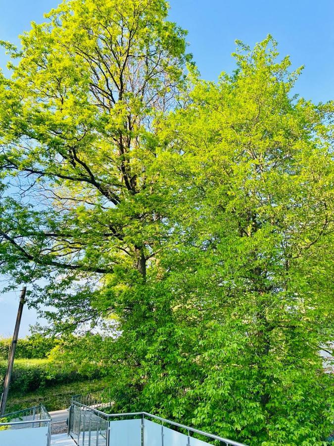 Ferienwohnung Waldblick Kaufungen Екстер'єр фото